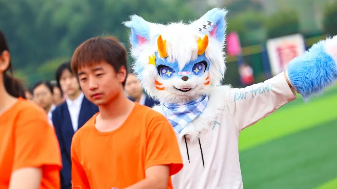 图片36 图片36
