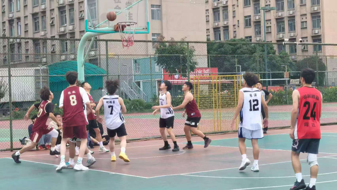 图片3