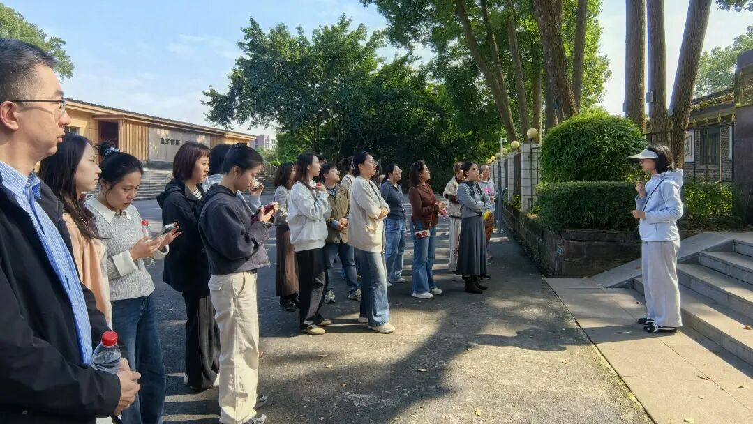 图片15 图片15