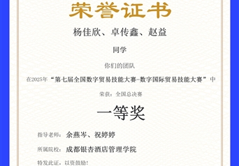 第七届全国数字贸易技能大赛一等奖