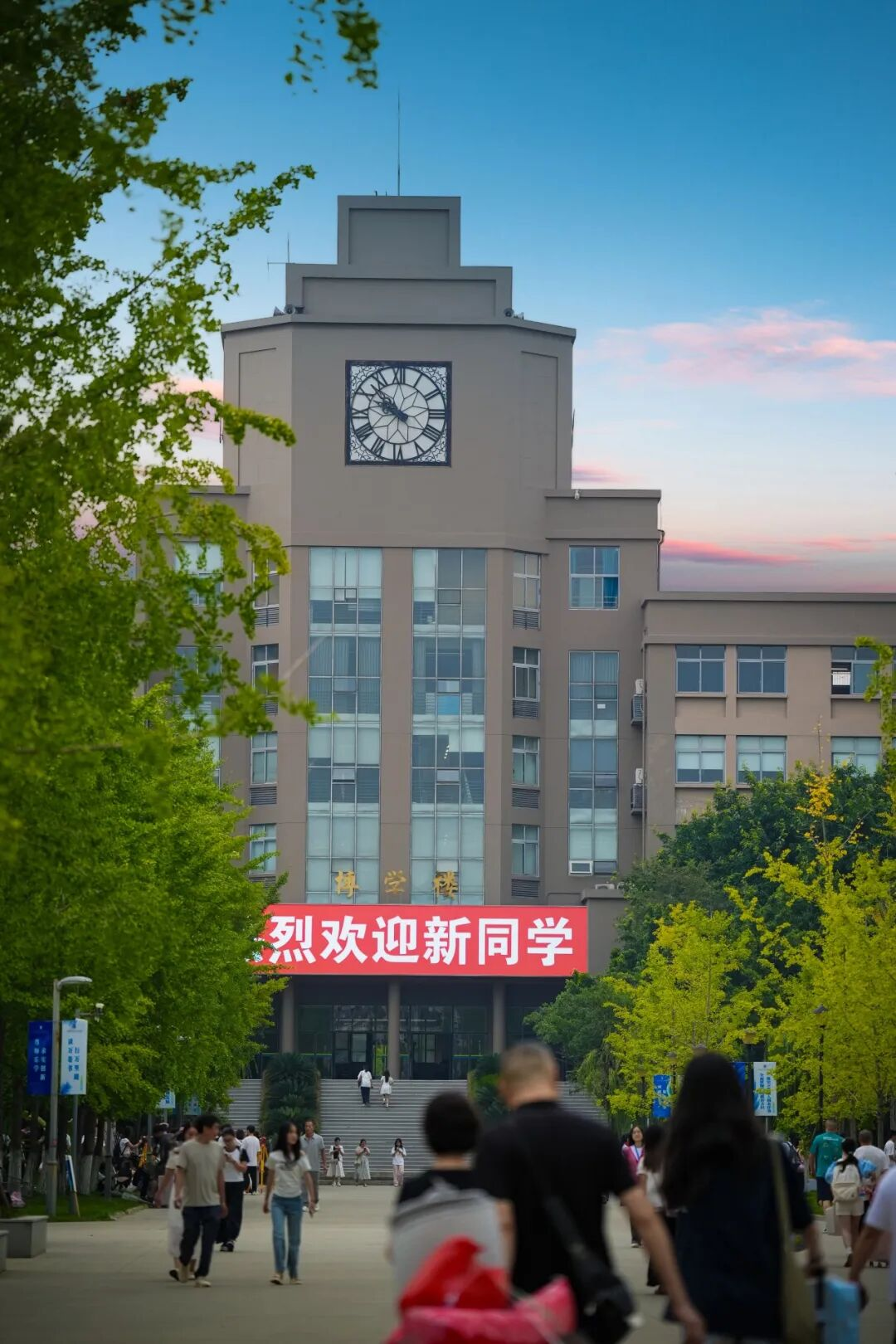 图片5